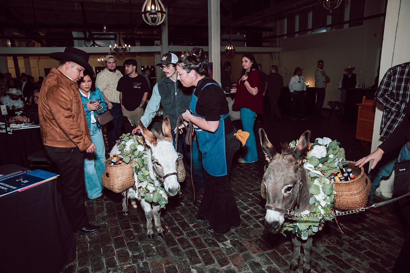 Default placeholder image