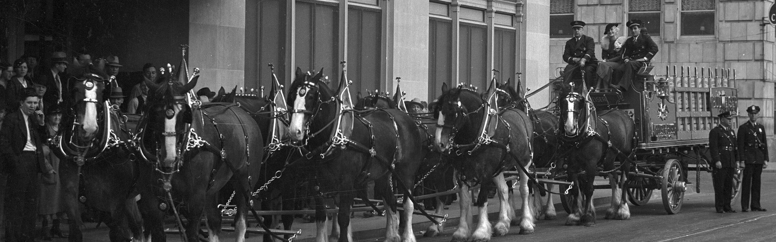 Default placeholder image