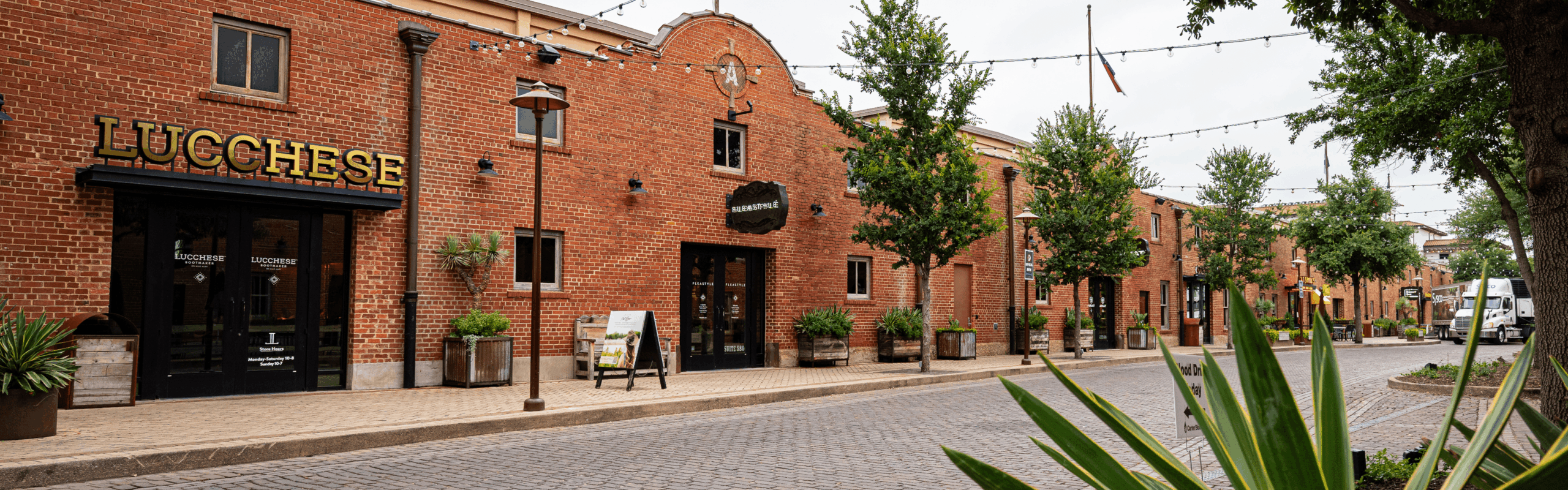 Default placeholder image